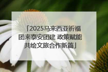 2025马来西亚祈福团来泰安团建 政策赋能共绘文旅合作新篇