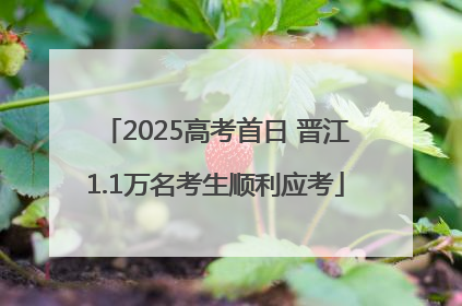 2025高考首日 晋江1.1万名考生顺利应考
