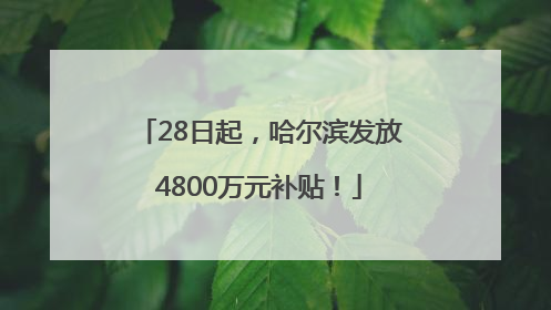 28日起，哈尔滨发放4800万元补贴！