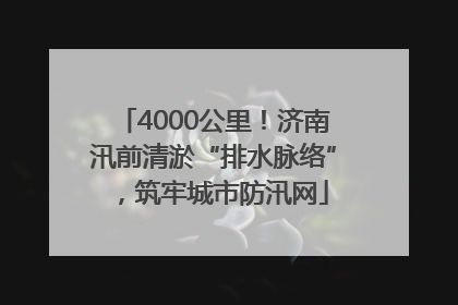 4000公里！济南汛前清淤“排水脉络”，筑牢城市防汛网