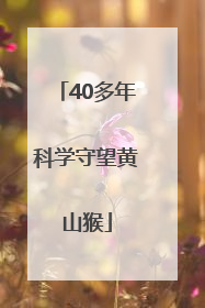 40多年科学守望黄山猴