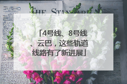 4号线、8号线、云巴，这些轨道线路有了新进展
