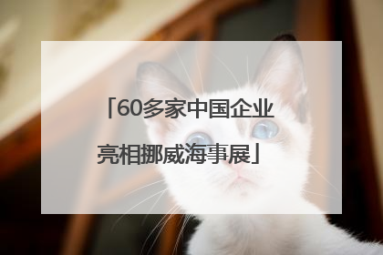 60多家中国企业亮相挪威海事展