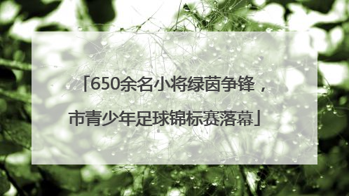 650余名小将绿茵争锋，市青少年足球锦标赛落幕