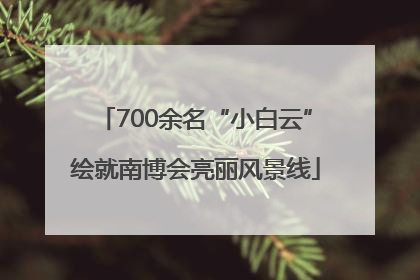 700余名“小白云”绘就南博会亮丽风景线
