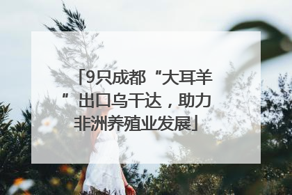 9只成都“大耳羊”出口乌干达，助力非洲养殖业发展
