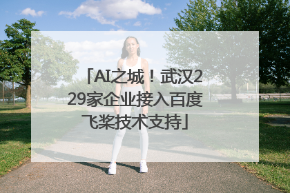 AI之城！武汉229家企业接入百度飞桨技术支持