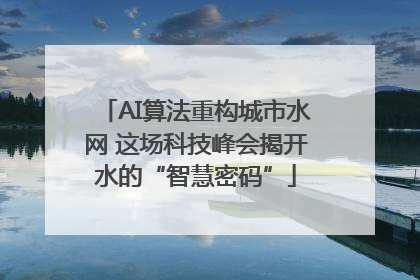 AI算法重构城市水网 这场科技峰会揭开水的“智慧密码”